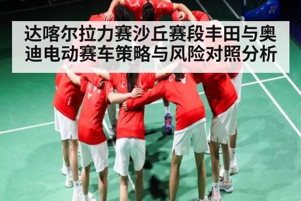 达喀尔拉力赛沙丘赛段丰田与奥迪电动赛车策略与风险对照分析